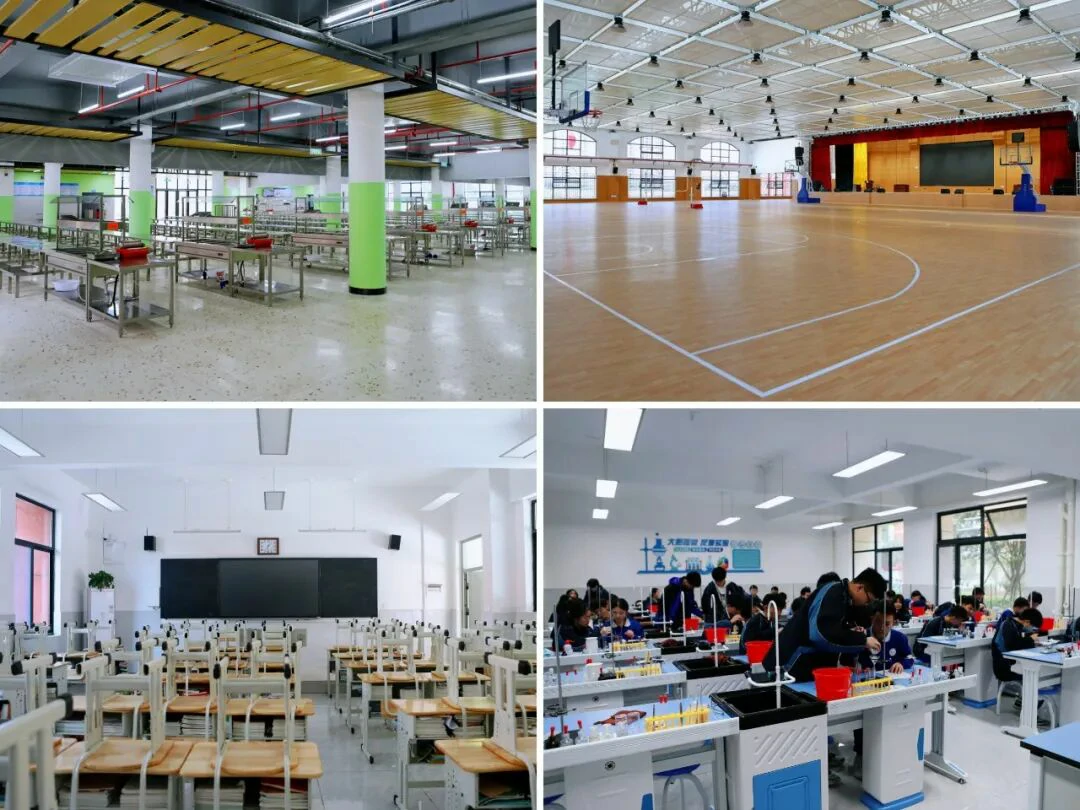 1775812033175363.webp 1775812033175363.webp