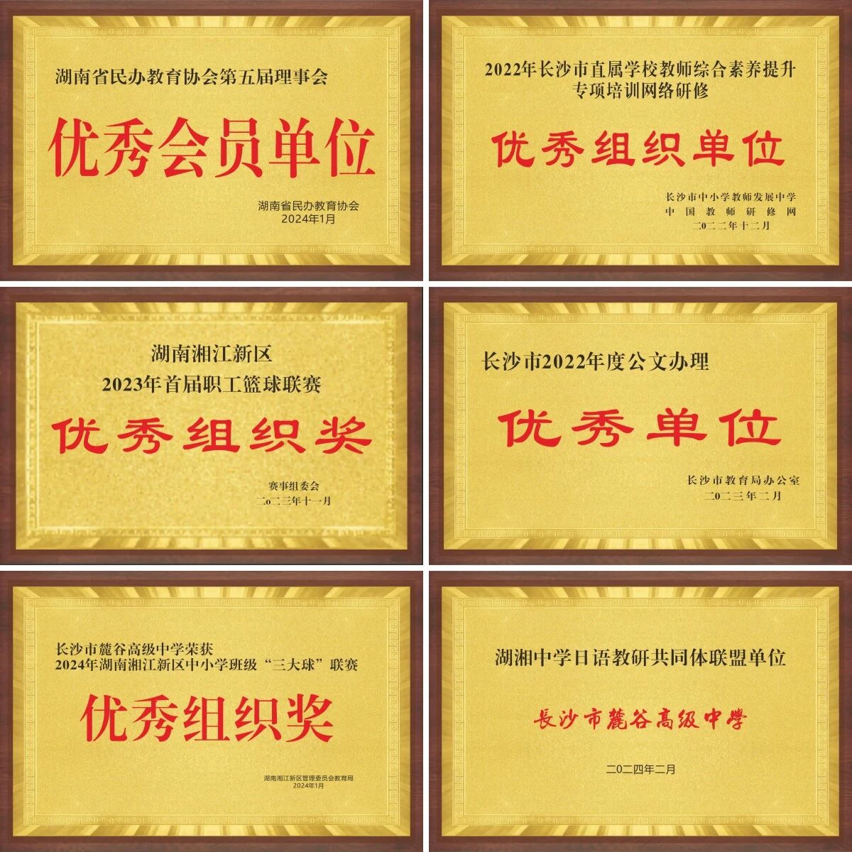 1775812511108341.webp 1775812511108341.webp